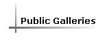 Public Galleries